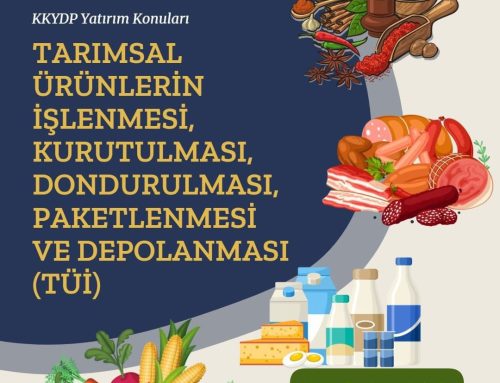 TARIMSAL ÜRÜNLERİN İŞLENMESİ